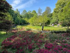 -上海佘山国家森林公园天马山园