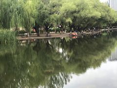 -青城公园