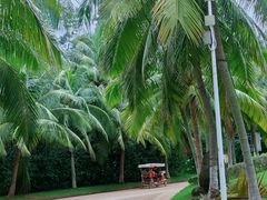 -白沙门生态公园