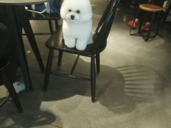 -喜茶(佛山顺德大良东乐路店)