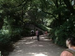 android_upload_pic-府山公园