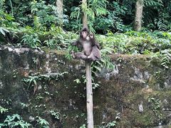 -西岭雪山大飞水景区