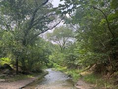 -白水寺森林公园