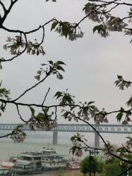 点击看大图 -晴川假日酒店·宴会厅·会议厅