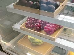 -雾与山茶(大禹城店)