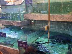 -鱼你相聚·河鲜馆(袁家岭店)