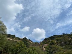 -鲁山国家森林公园