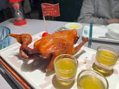 传统生炸红烧鸽-大鸽饭(体育西路店)