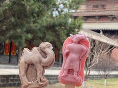 -善化寺