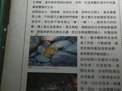 -太鲁阁公园