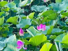 -云龙湖旅游景区