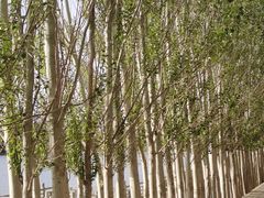 -党河风情线国家水利风景区