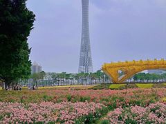 -海心沙亚运公园