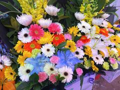 -花鸟鱼虫鲜花绿植市场(玉泉路店)
