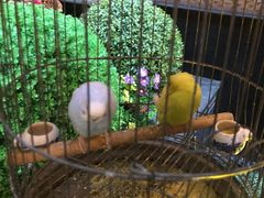 -九号温泉生活馆