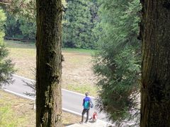 -武陵山森林公园