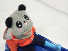 -Mr·Kuma酷么先生雪之乐园