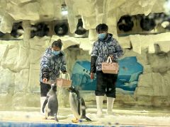 -华夏文旅海洋公园