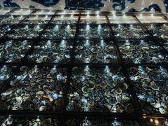 -九龙公园
