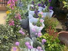 -龙大花卉苗木市场