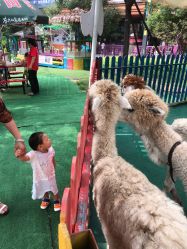 -萌宠亲子动物乐园(槐房万达店)