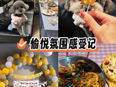 -百好乐宠物友好餐厅(朝外大街店)