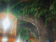 -福茂源横山铁锅羊肉(牡丹园店)