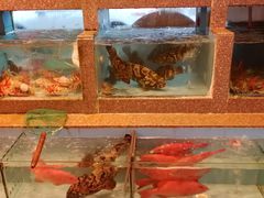 -光兴海鲜排档·小炒(莱利园店)