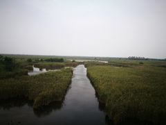 -盐城丹顶鹤湿地生态旅游区