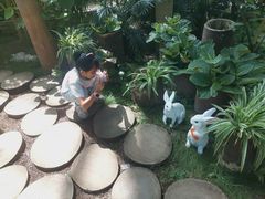 -南山植物园