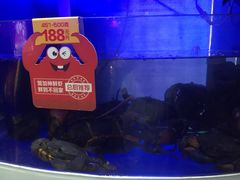-七欣天香辣蟹火锅(无锡金太湖国际城店)