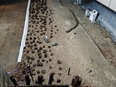 -元代水闸遗址博物馆