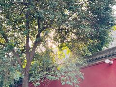 -西安市广仁寺