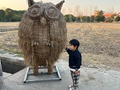 -嘉北郊野公园