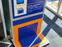 -约翰·菲茨杰拉德·肯尼迪国际机场