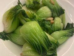 上海青-春满园·早茶·粤菜·宴会(前海店)