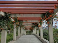 -瑶湖郊野森林公园