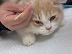 -宠颐生汉谟拉比宠物医院