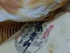 -秦韵轩·西安小馆(贻成福地广场店)