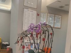 -土豆口腔(凤凰北总店)