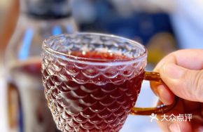 Hibiscus Plum Drink