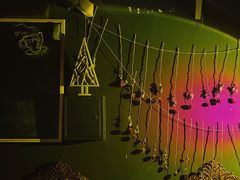 -Strawberry Butterfly草莓蝴蝶日式水果挞