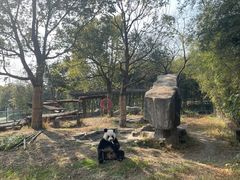 -宁波野生动物园