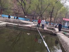 -双新垂钓园