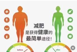 -香薇妮丝·定制减肥·身材管理