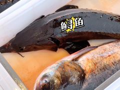 -江湖水乡铁锅炖魚(周庄嘉园店)