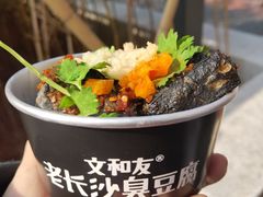 -黑色经典臭豆腐·湖南特产(坡子街店)