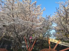 -杨高南路(地铁站)