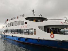 -千岛湖城中湖游船码头
