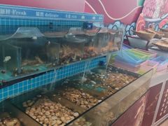 -漳州佰翔圆山酒店·圆山畔西餐厅